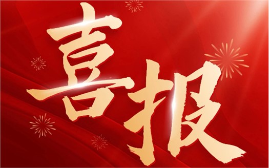 集团荣膺2025中国民营企业500强第249位，制造业民营企业500强第177位，排名较去年双双大幅提升