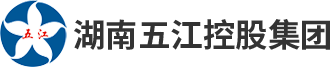 湖南DB官方网站控股集团有限公司